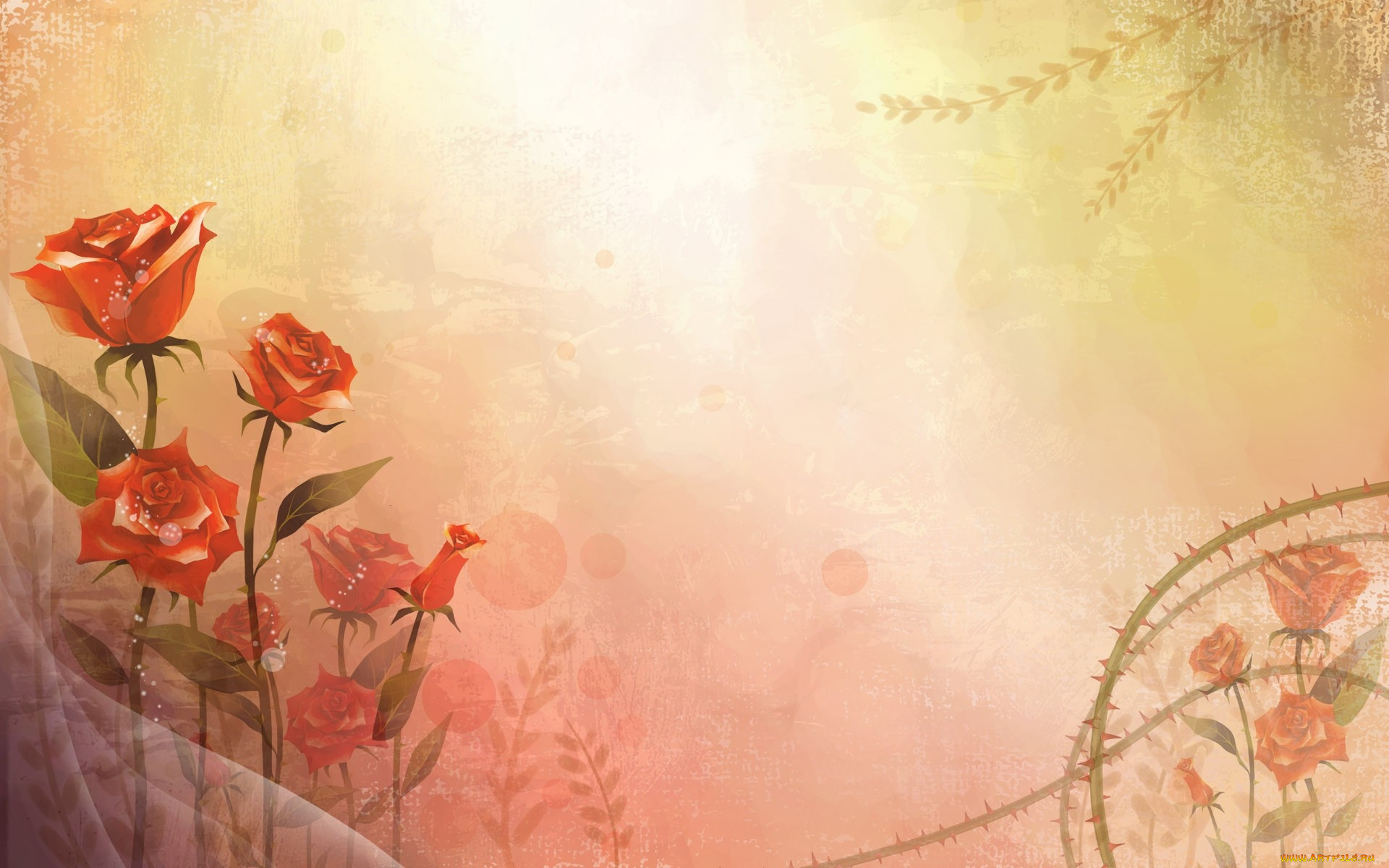  ,  , flowers, , 